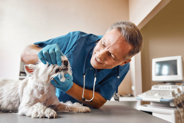 Best Emergency Tooth Extraction in Country Walk, FL
