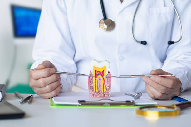 Best Emergency TMJ Treatment in Country Walk, FL